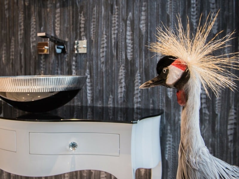 New Showroom opens in Edinburgh